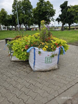 Foto des Albums: Mannheim BUGA