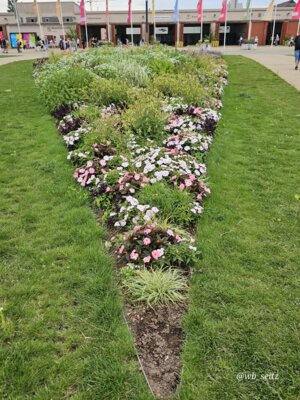 Foto des Albums: Mannheim BUGA