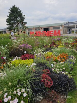 Foto des Albums: Mannheim BUGA