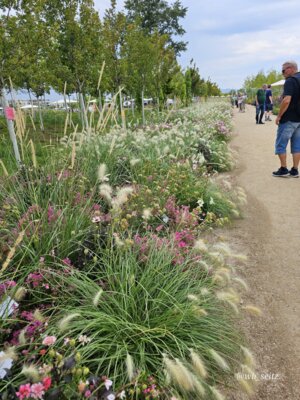 Foto des Albums: Mannheim BUGA