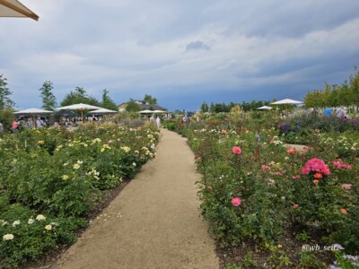 Foto des Albums: Mannheim BUGA