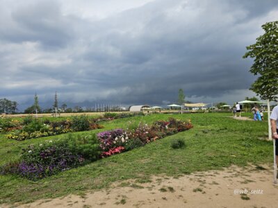 Foto des Albums: Mannheim BUGA