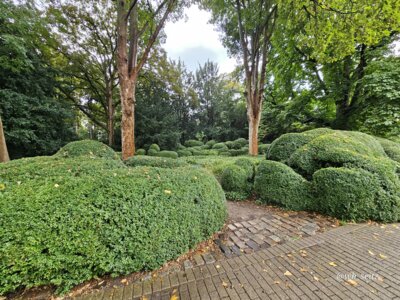 Foto des Albums: Mannheim BUGA