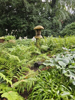 Foto des Albums: Mannheim BUGA