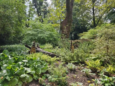 Foto des Albums: Mannheim BUGA