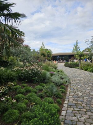 Foto des Albums: Mannheim BUGA