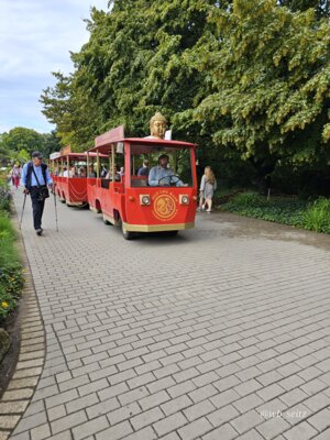 Foto des Albums: Mannheim BUGA