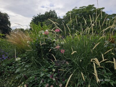 Foto des Albums: Mannheim BUGA