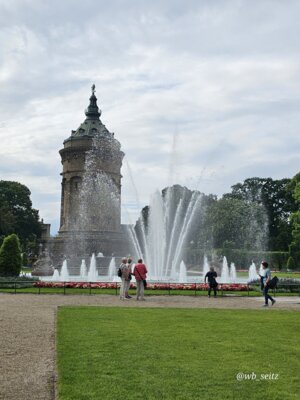Foto des Albums: Mannheim BUGA