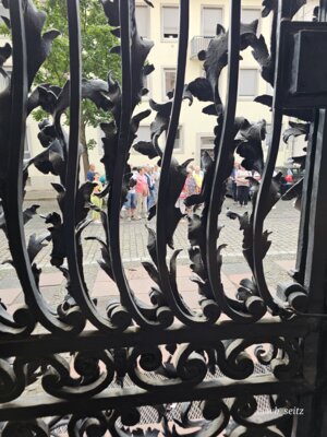 Foto des Albums: Mannheim BUGA