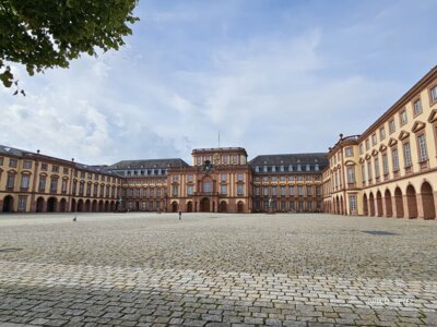 Foto des Albums: Mannheim BUGA