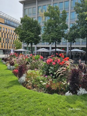 Foto des Albums: Mannheim BUGA