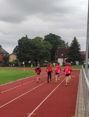 Foto des Albums: Angermünder Sommerlauf 26.08.2023