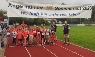 Foto des Albums: Angermünder Sommerlauf 26.08.2023