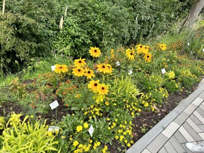 Foto des Albums: Landesgartenschau Bad Gandersheim