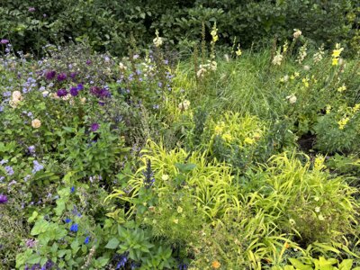 Foto des Albums: Landesgartenschau Bad Gandersheim