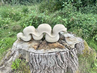 Foto des Albums: Landesgartenschau Bad Gandersheim