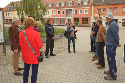 Foto des Albums: Die Bildhauer sind in der Stadt