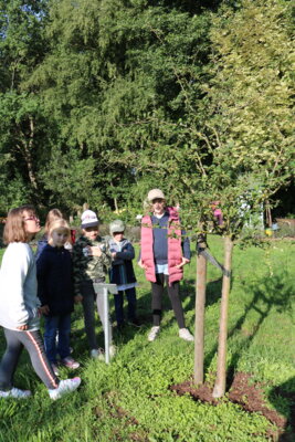 Foto des Albums: Wandertag Klasse 1 und 4