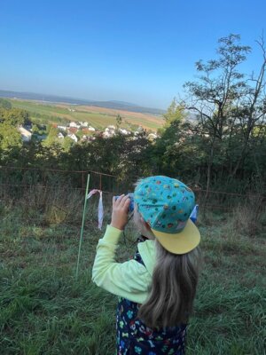 Foto des Albums: 1. Wandertag im Schulhaus Wollbach