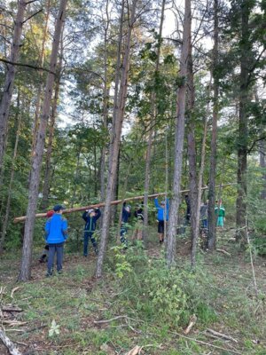 Foto des Albums: 1. Wandertag im Schulhaus Wollbach