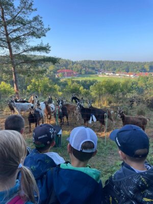 Foto des Albums: 1. Wandertag im Schulhaus Wollbach