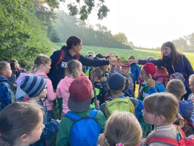Foto des Albums: 1. Wandertag im Schulhaus Wollbach