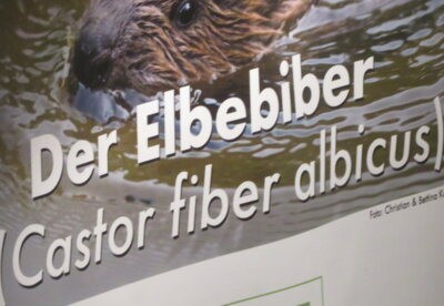 Fotoalbum Eröffnungsabend der Austellung zum Elbebiber mit einem Vortrag von Jörg Schuboth der Landeskompetenzstelle für Biberschutz Sachsen-Anhalt