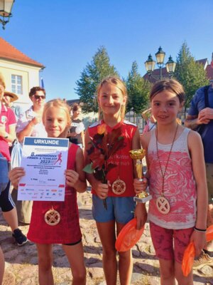 Foto des Albums: Angermünder Teamlauf 08.09.2023