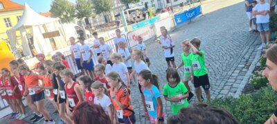 Foto des Albums: Angermünder Teamlauf 08.09.2023