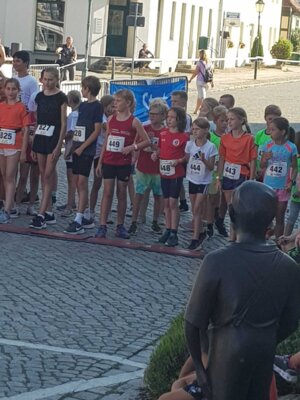Foto des Albums: Angermünder Teamlauf 08.09.2023