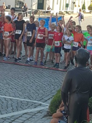 Foto des Albums: Angermünder Teamlauf 08.09.2023