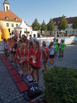 Foto des Albums: Angermünder Teamlauf 08.09.2023