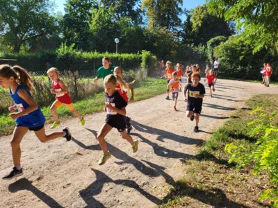 Foto des Albums: Schorfheide-Lauf 20.09.2023