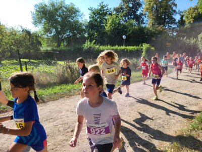 Foto des Albums: Schorfheide-Lauf 20.09.2023 (22.​09.​2023)