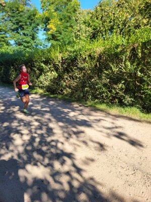 Foto des Albums: Schorfheide-Lauf 20.09.2023