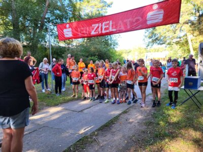 Foto des Albums: Templiner Lübbeseelauf 16.09.2023