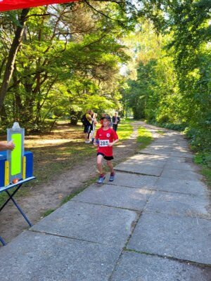 Foto des Albums: Templiner Lübbeseelauf 16.09.2023