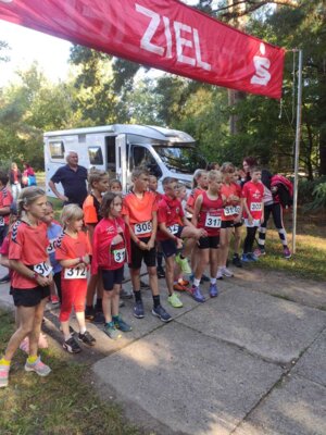 Foto des Albums: Templiner Lübbeseelauf 16.09.2023
