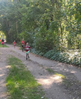 Foto des Albums: Templiner Lübbeseelauf 16.09.2023