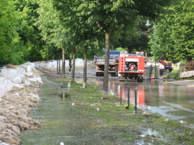 Deichbau entlang der Elbe  (Bild vergr&ouml;&szlig;ern)