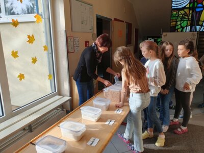Foto des Albums: Müslitag im Schulhaus Hollstadt
