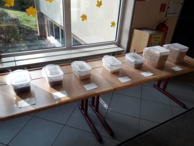Foto des Albums: Müslitag im Schulhaus Hollstadt
