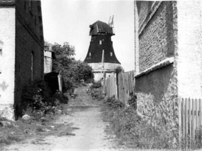 Vorschaubild der Galerie