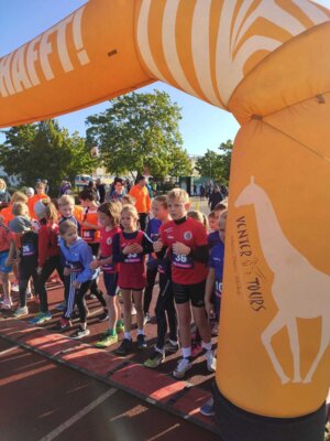 Foto des Albums: Schwedter Herbstlauf 08.10.2023 (11.​10.​2023)