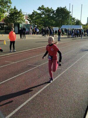 Foto des Albums: Schwedter Herbstlauf 08.10.2023 (11.​10.​2023)