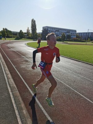 Foto des Albums: Schwedter Herbstlauf 08.10.2023 (11.​10.​2023)