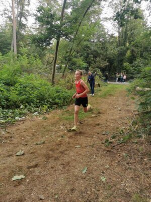 Foto des Albums: Ueckermünder Herbstcross 03.10.2023 (11.​10.​2023)