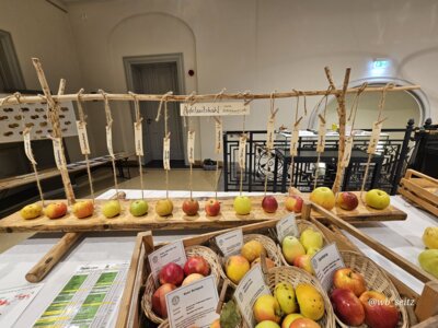 Foto des Albums: 16. Obstausstellung