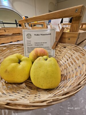 Foto des Albums: 16. Obstausstellung